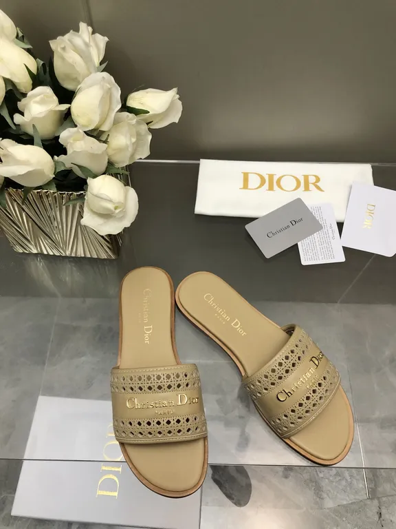 Dior Shoe 